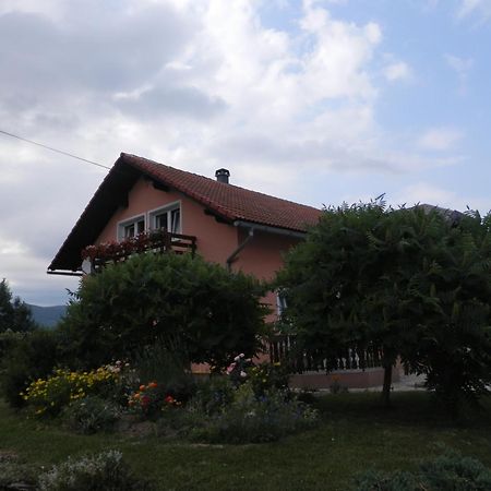 Guesthouse Blazenka Hodak Seliste Dreznicko Exterior foto