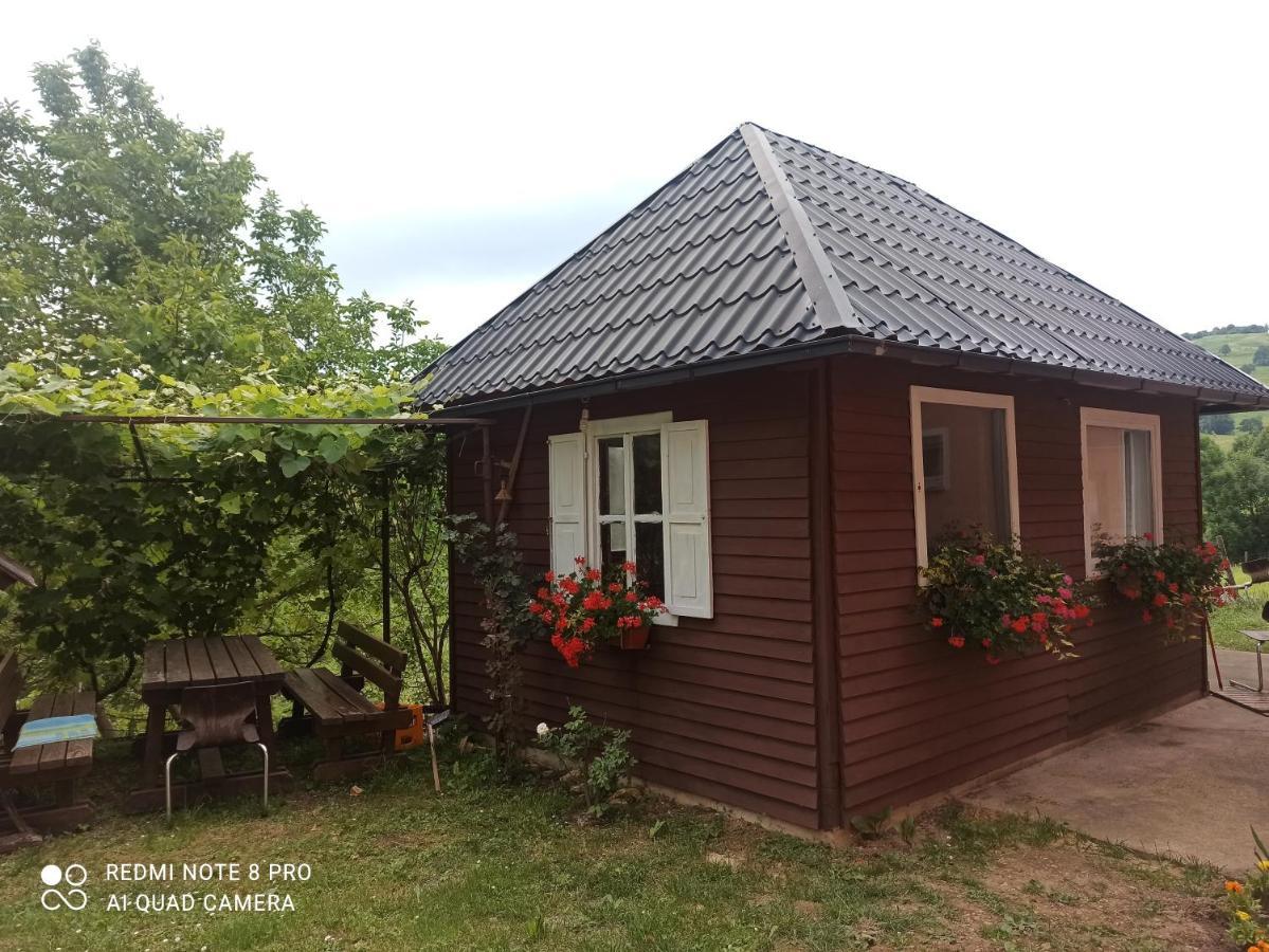 Guesthouse Blazenka Hodak Seliste Dreznicko Exterior foto