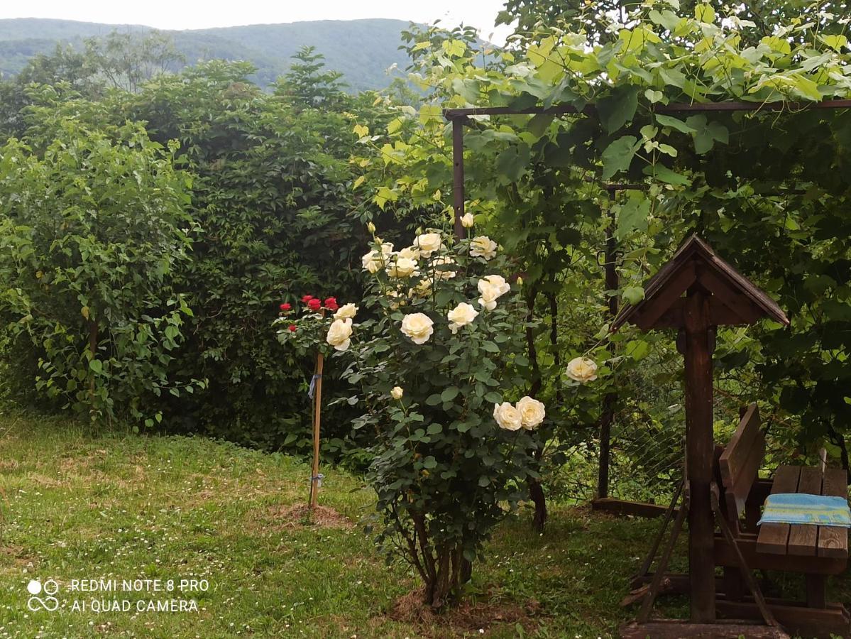 Guesthouse Blazenka Hodak Seliste Dreznicko Exterior foto