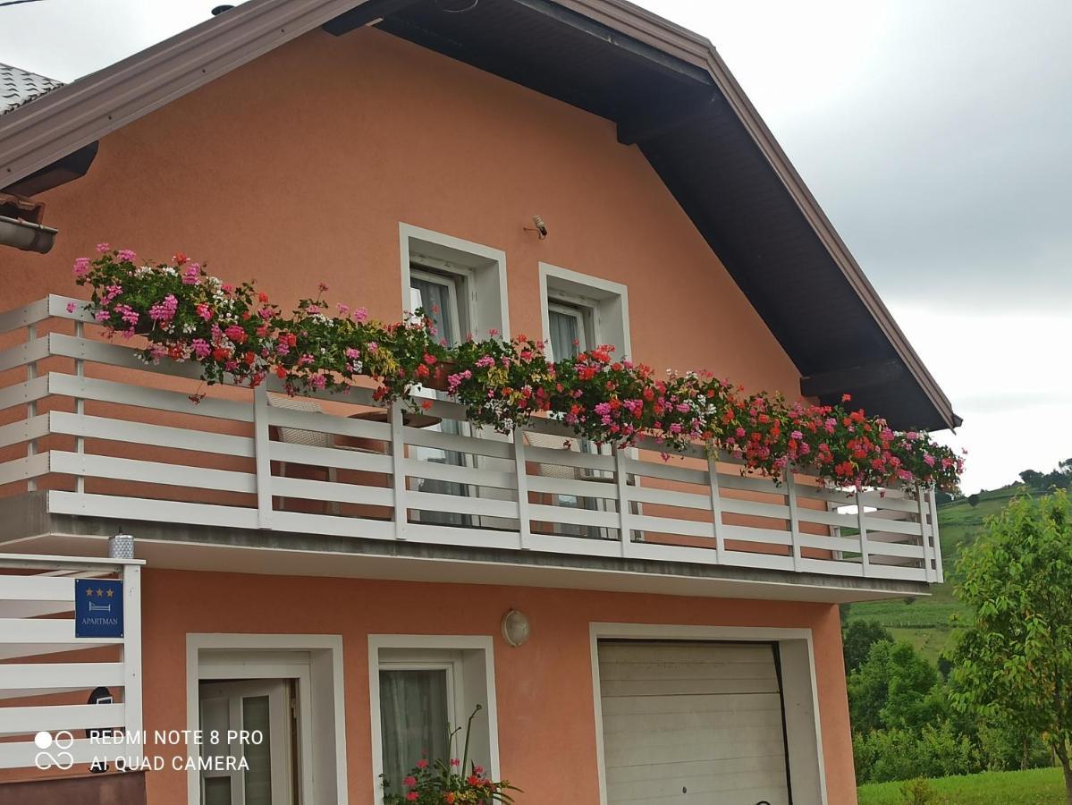 Guesthouse Blazenka Hodak Seliste Dreznicko Exterior foto