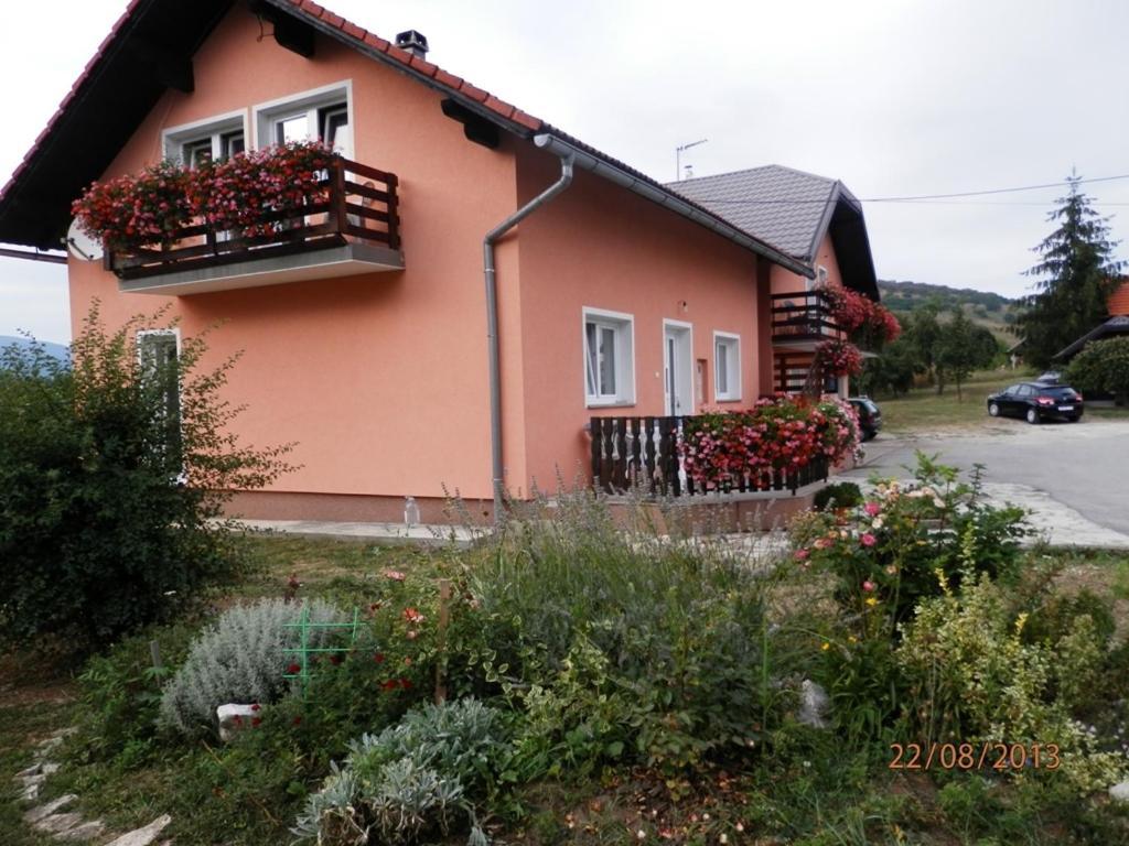 Guesthouse Blazenka Hodak Seliste Dreznicko Cameră foto