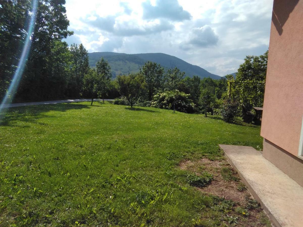 Guesthouse Blazenka Hodak Seliste Dreznicko Exterior foto