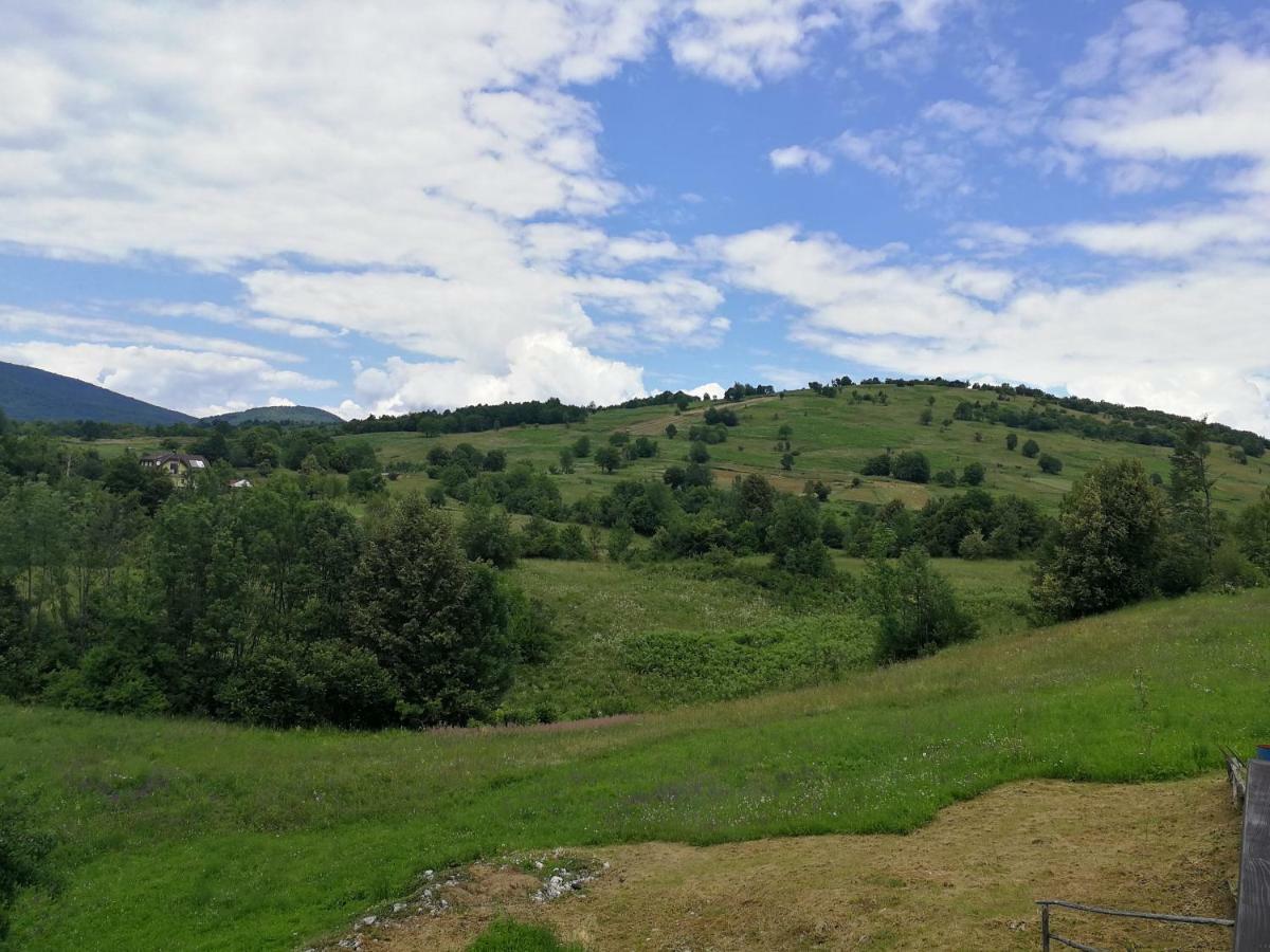 Guesthouse Blazenka Hodak Seliste Dreznicko Exterior foto