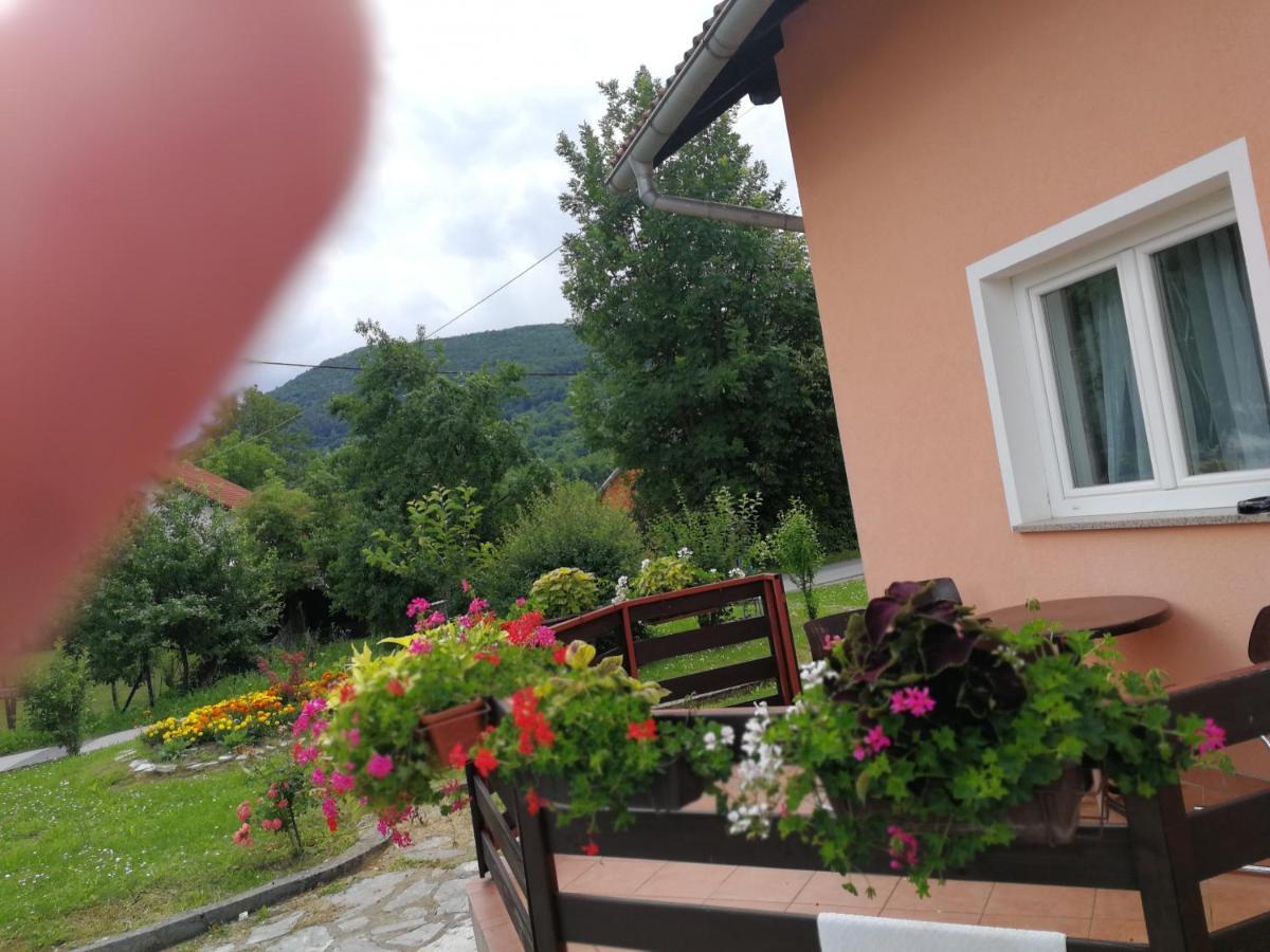 Guesthouse Blazenka Hodak Seliste Dreznicko Exterior foto